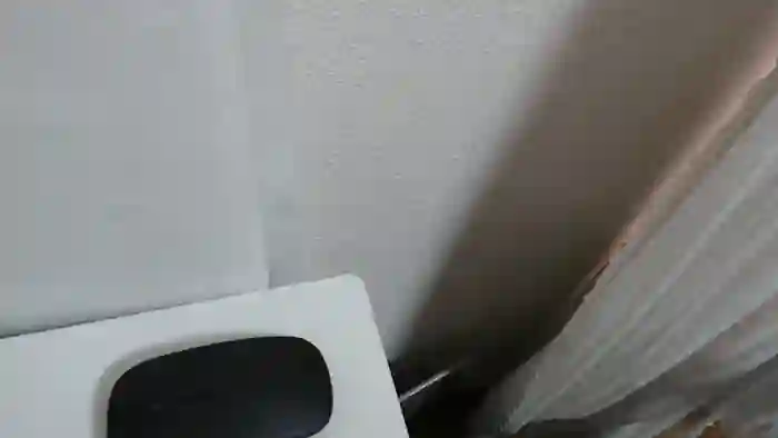 harukannn
