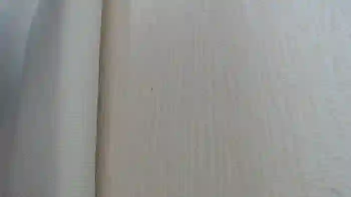 REIKAxdxx