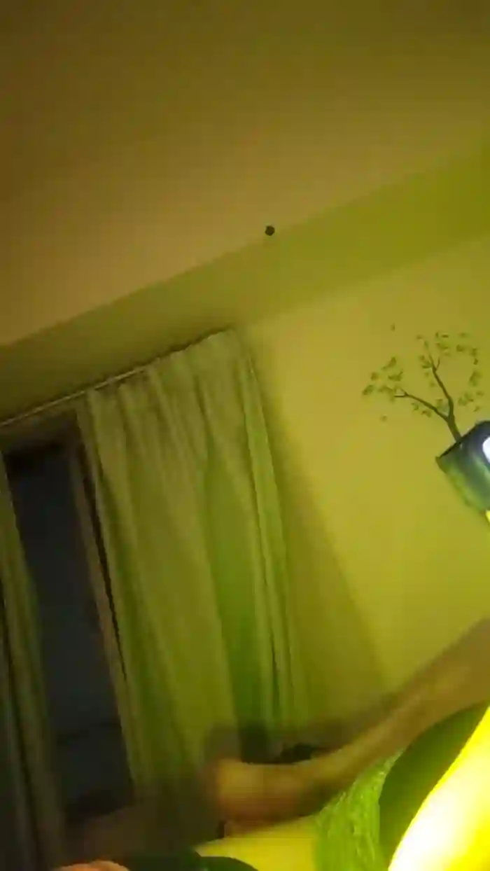 sayatan5