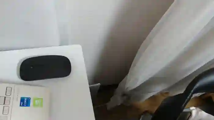 harukannn