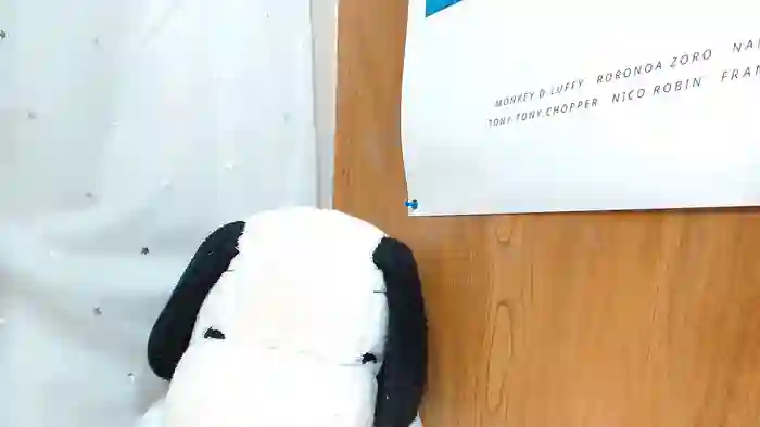 HIYOKOsss