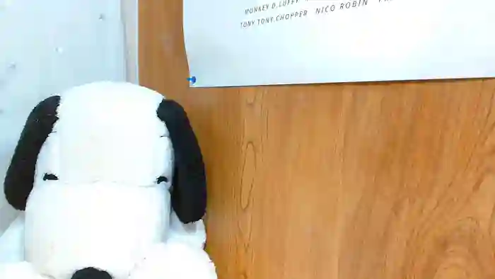 HIYOKOsss