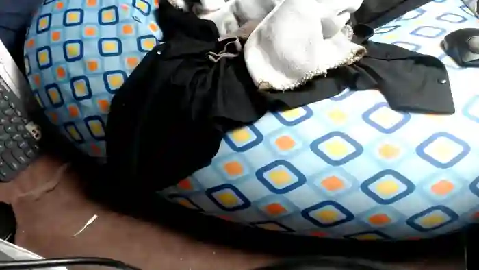 anne0v0