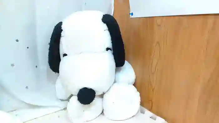 HIYOKOsss