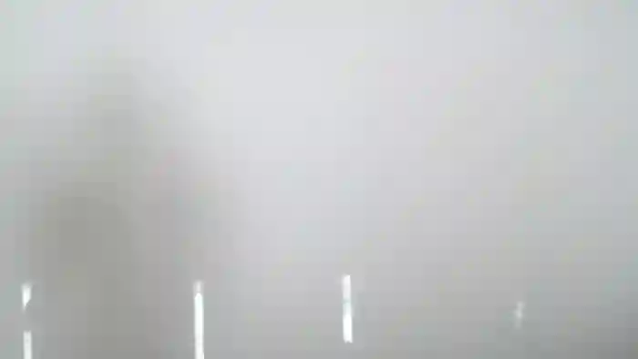 Lauren_Lewis