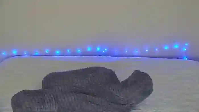 Bella_shine