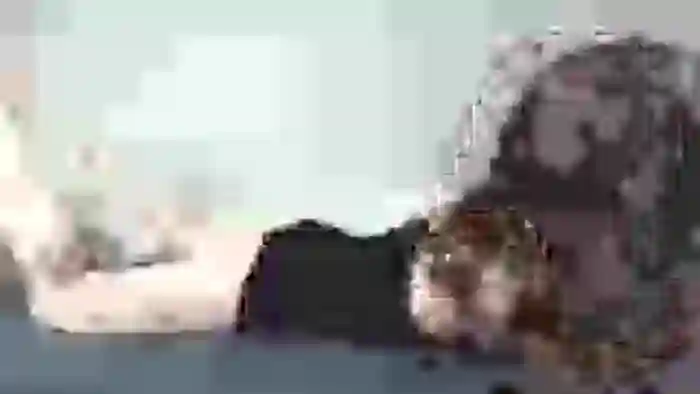 Kristen888