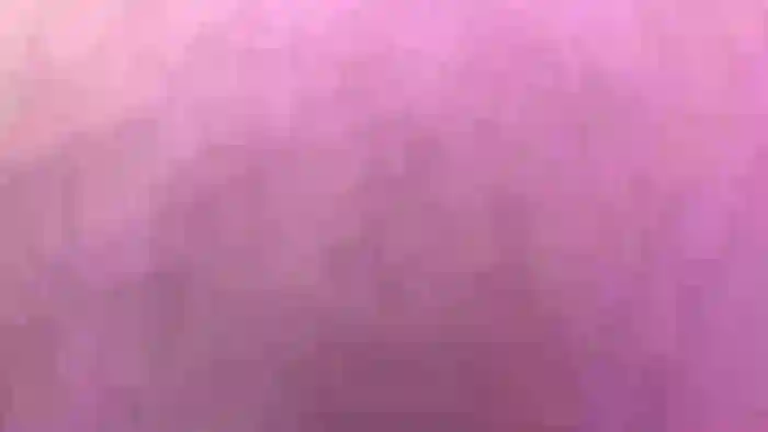 xoSandraTemplexo