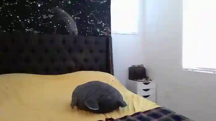 ReneaGirlNextDoor