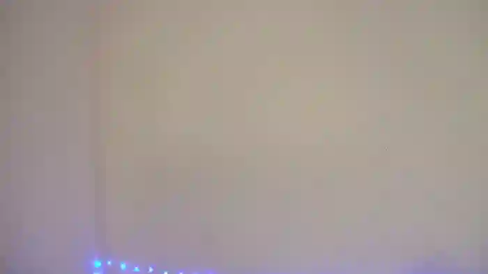 Bella_shine