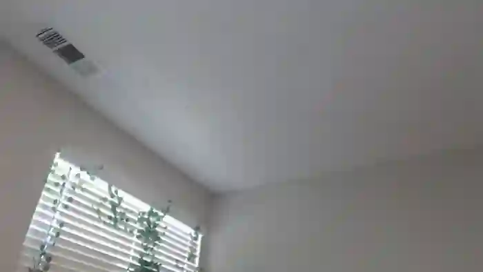 theselenarainx