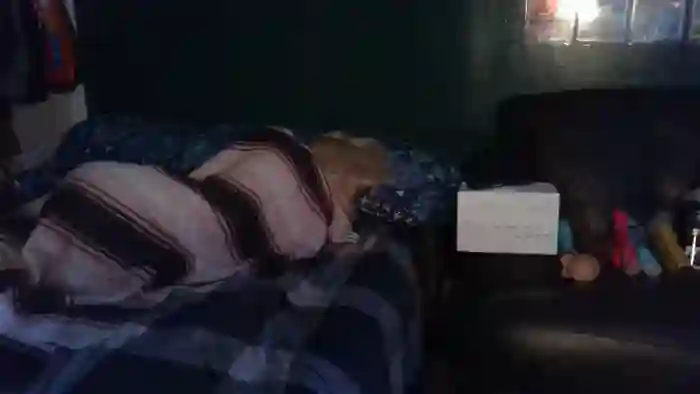 AlexMarieXOXO