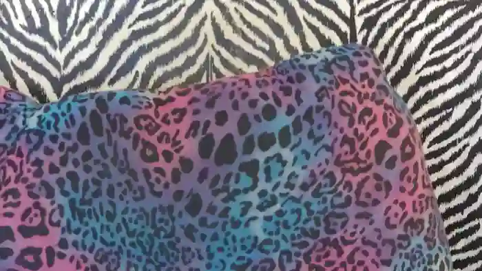 Kitty_Fox