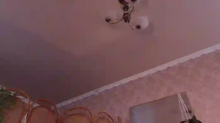 BambiFawn