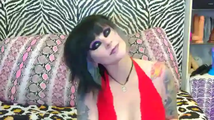 Kitty_Fox
