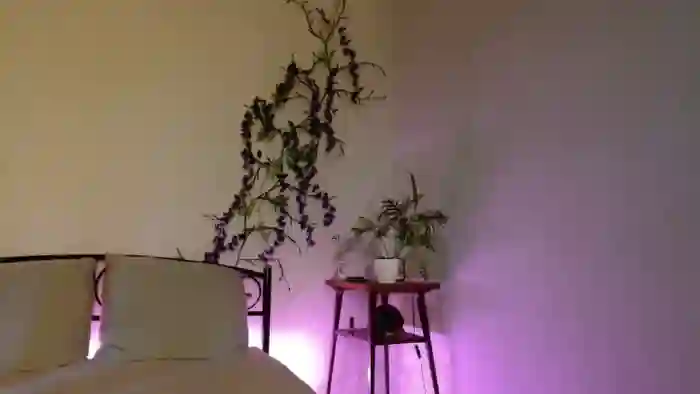 LuckyVicky28