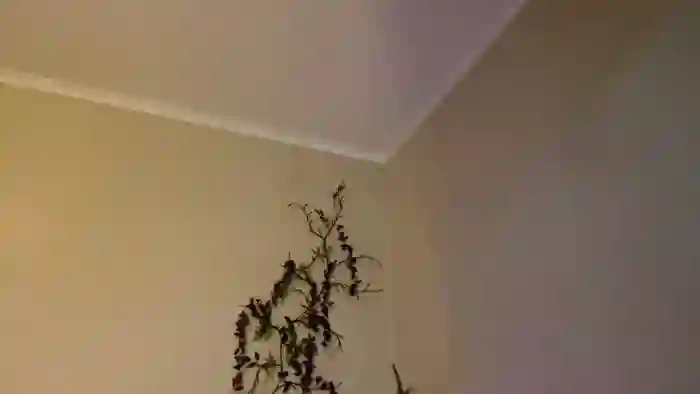 LuckyVicky28