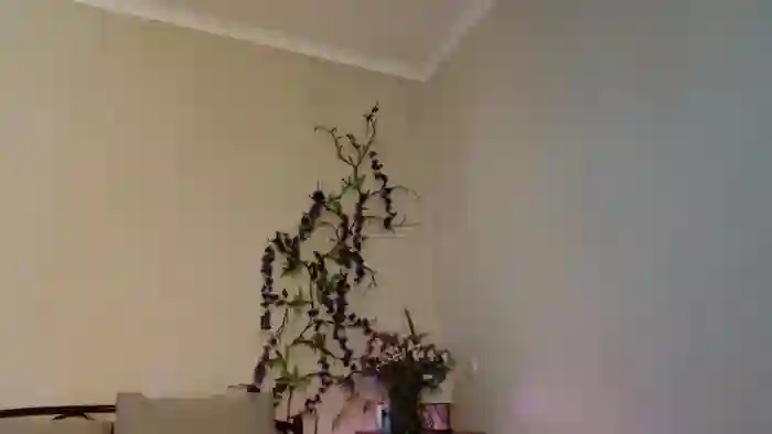 LuckyVicky28