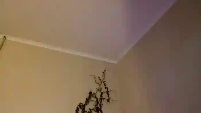 LuckyVicky28