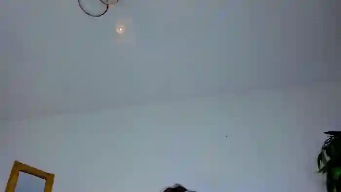 MikkiShowww