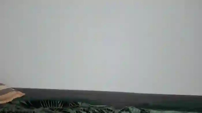 DanniJo