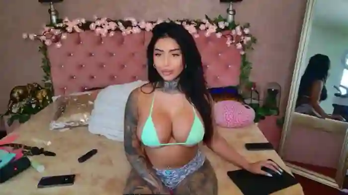 AARISS