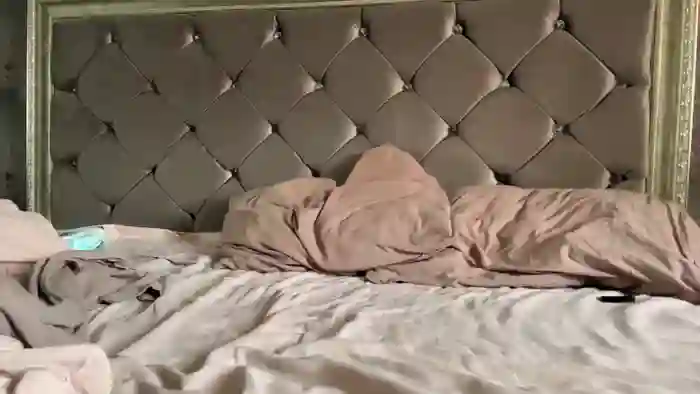 LilyDevelin