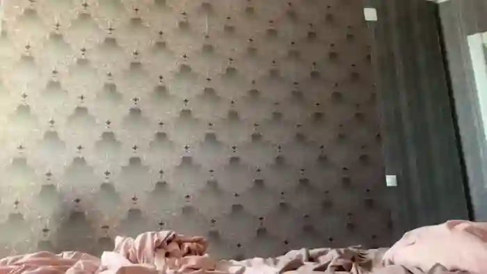 LilyDevelin