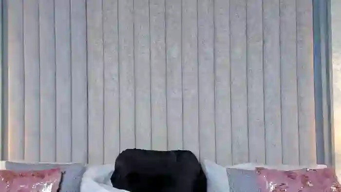 GraceeSwift