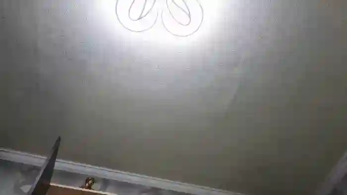 dominikazX