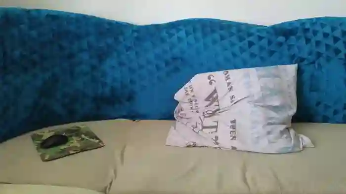 RemyMiles