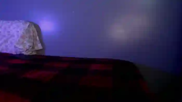 Sarahsteveson018