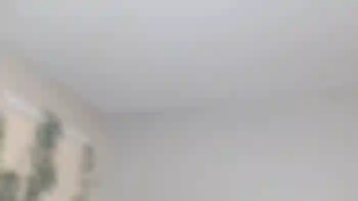 theselenarainx