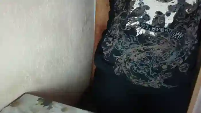 LilyDreamy