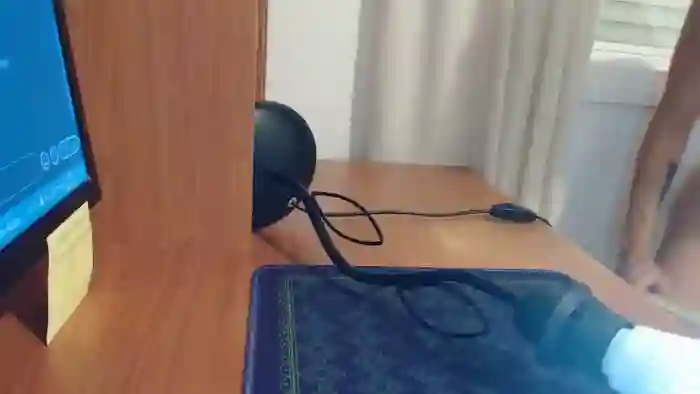 PAMELASTREAM