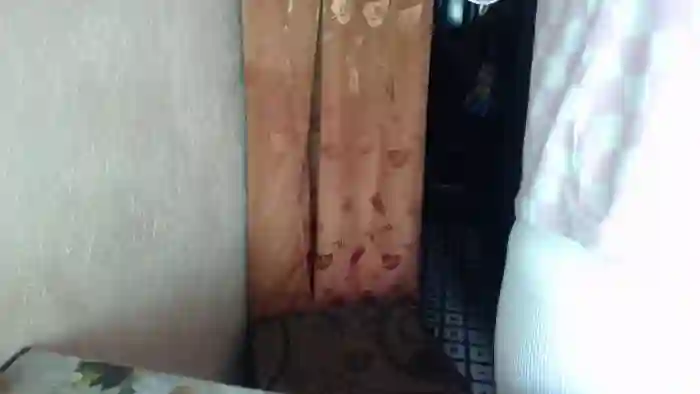 LilyDreamy