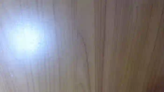PAMELASTREAM