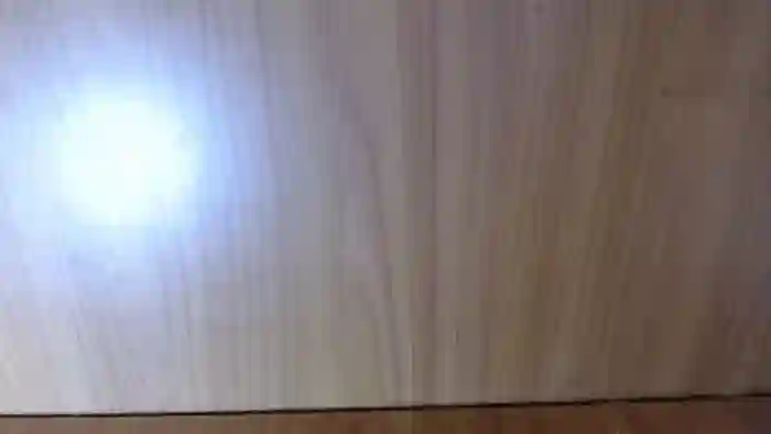 PAMELASTREAM
