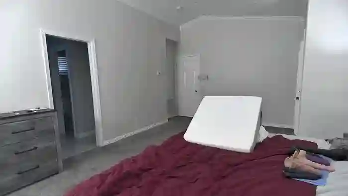 Shellyfox