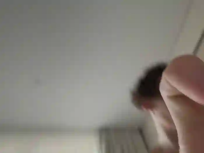 oypo