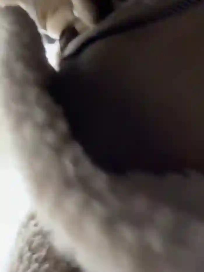-AngelAri-