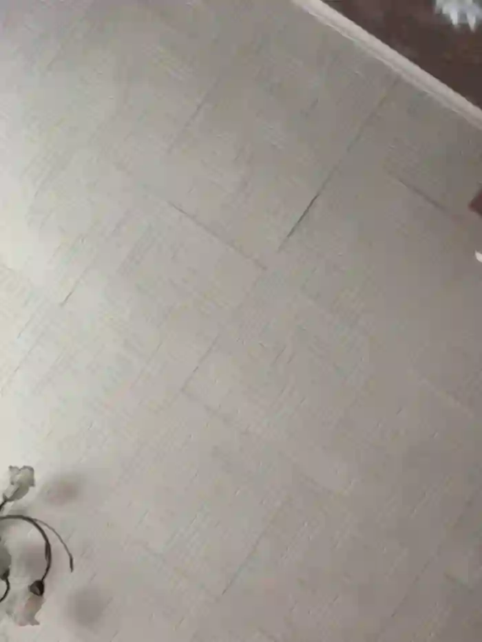 AmmyHot