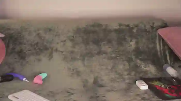 thelissawayne