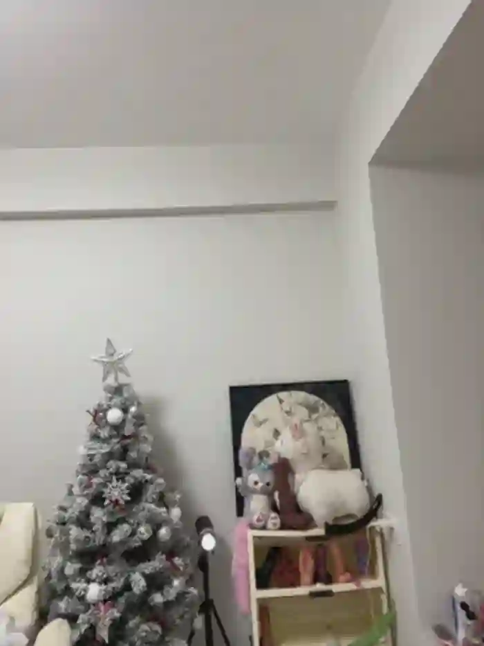 xyebobs