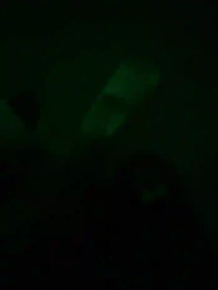 LYJyao52