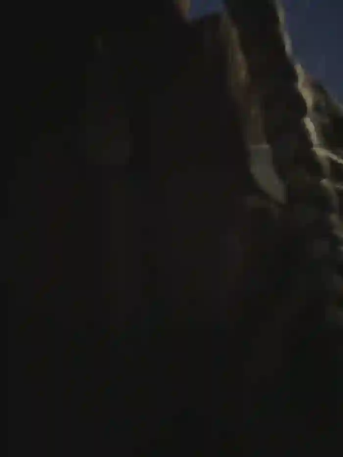 bambi_lu