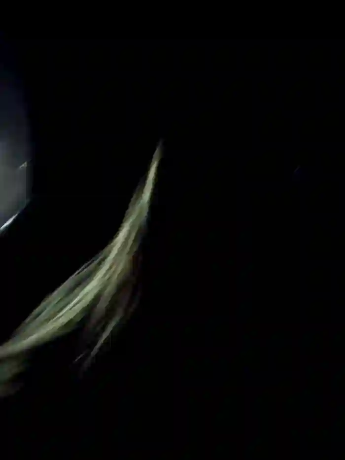 Isabella_Varella