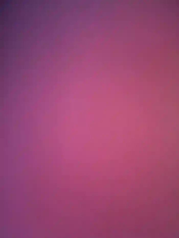 Asianpie_