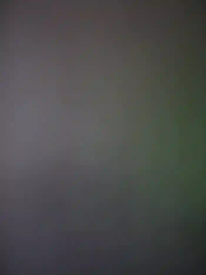 Asianpie_