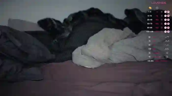 SwingWingWomanSweden